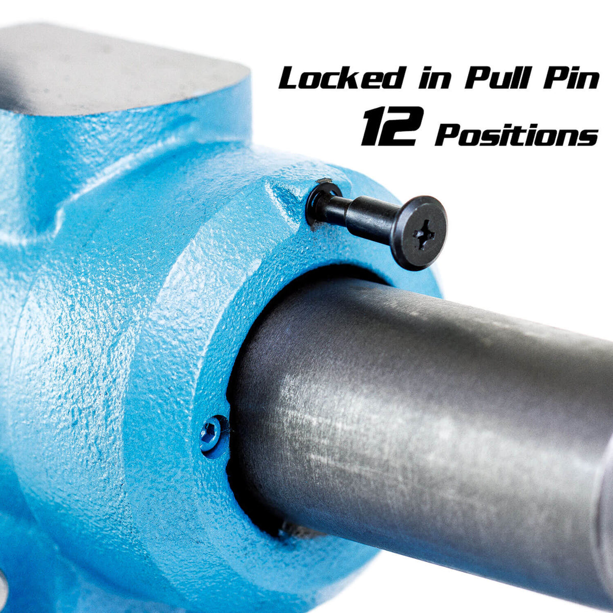 Rotating Head and Base Bench Vise, 6"